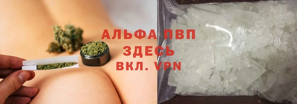 PSILOCYBIN Липки