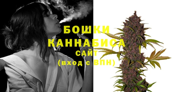 PSILOCYBIN Липки