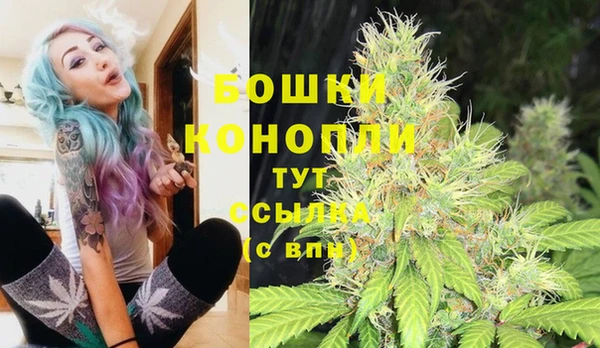 прущая мука Лагань
